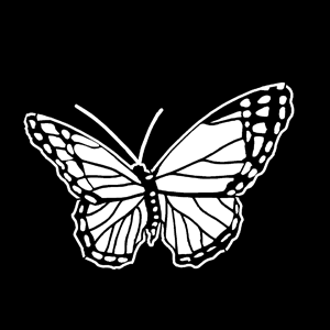 Gobo, Butterfly MS-1160-0