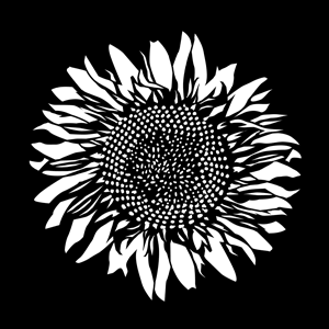 Gobo, Sunflower MS-1167-0