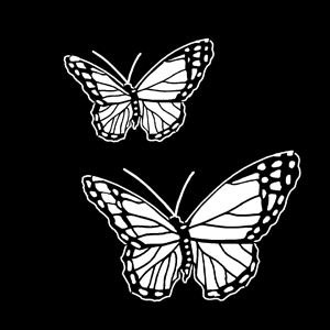 Gobo, Butterfly Double MS-1170-0