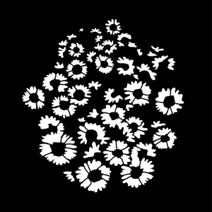 Gobo, Sunflower Breakup MS-2049-0