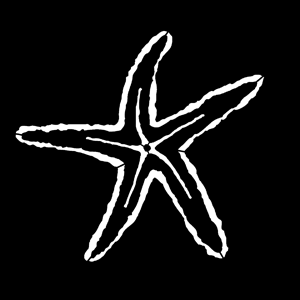 Gobo, Sea Starfish MS-7005-0