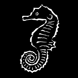 Gobo, Sea Horse MS-7006-0