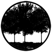 Gobo, Trees & Flowers: Tree Silhouette 1 (David Sumner) - 78431-0