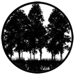 Gobo, Trees & Flowers: Tree Silhouette 2 (David Sumner) - 78432-0