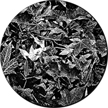 Gobo, Glass B/W Scene: Leaves Breakup - 82732-0