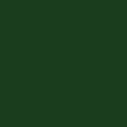 #5571 Iddings Deep Colors, Dark Green - Gallon-0
